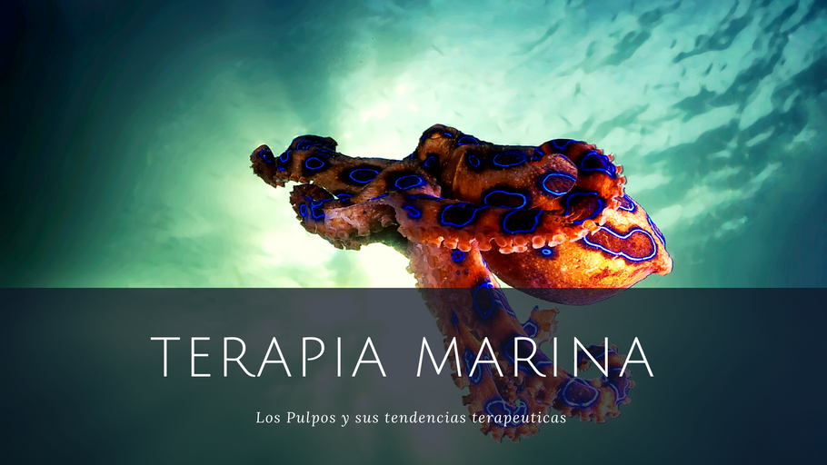 Terapia Marina